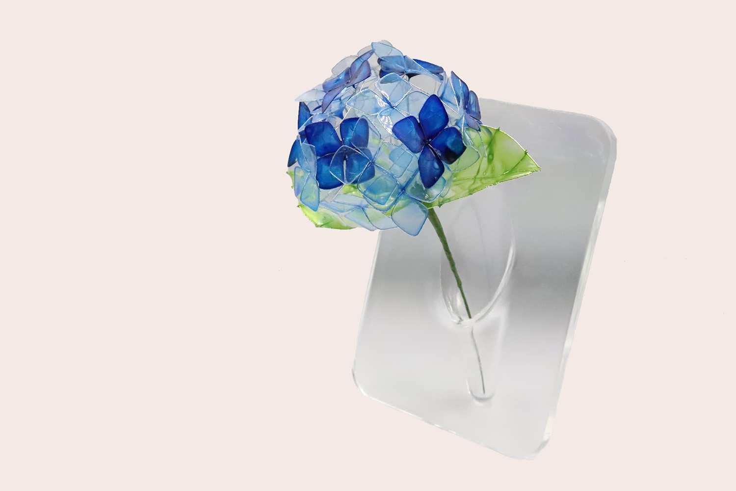 5位【単品】紫陽花